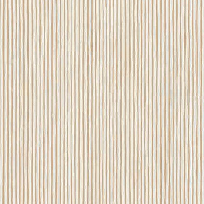 SENSI TERRE